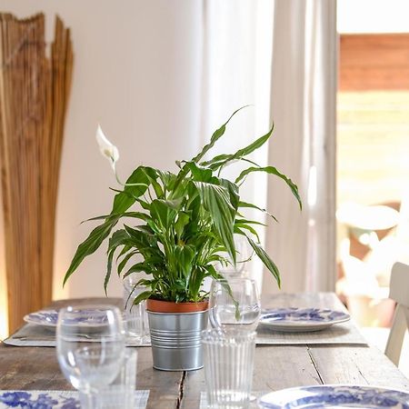 Spacious Apartment With Big Terrace At Colosseum Rome Exterior photo